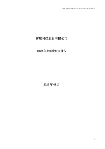智度股份：2022年半年度财务