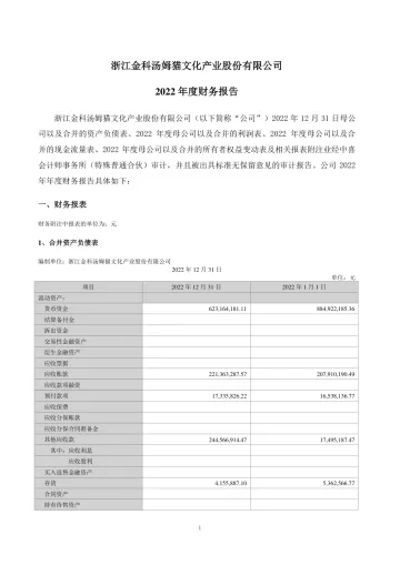 汤姆猫：2022年年度财务