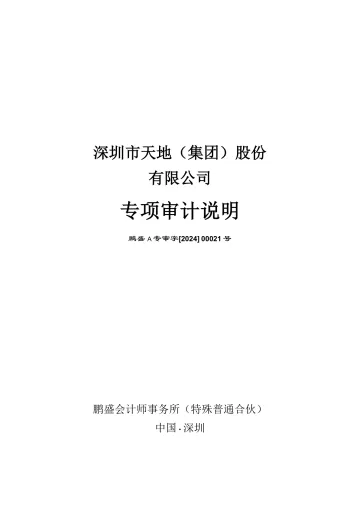 ST深天：年度关联方资金占用专项审计