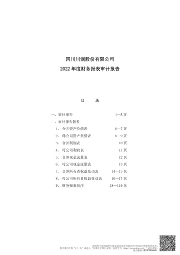 川润股份：2022年年度审计