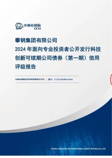 24攀钢Y1:攀钢集团有限公司2024年面向专业投资者公开发行科技创新可续期公司债券(第一期)信用评级