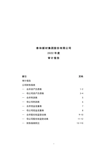 泰和新材：2022年年度审计