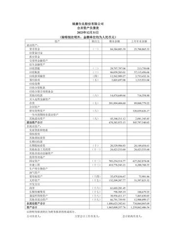 绿康生化：2023年年度财务