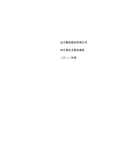 北方铜业：2022年年度审计