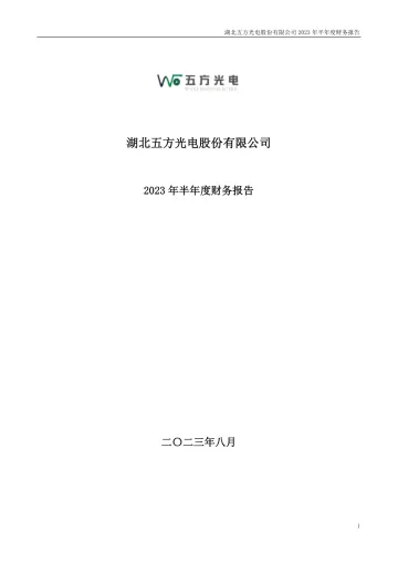 五方光电：2023年半年度财务
