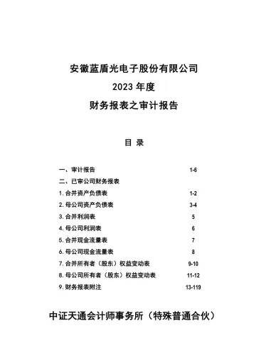 蓝盾光电：2023年年度审计