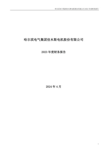 佳电股份：2023年年度财务