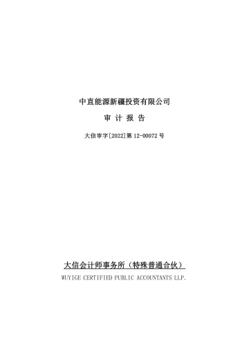 天顺股份：中直能源新疆投资有限公司审计