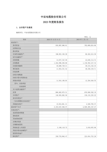 中辰股份：2023年年度财务