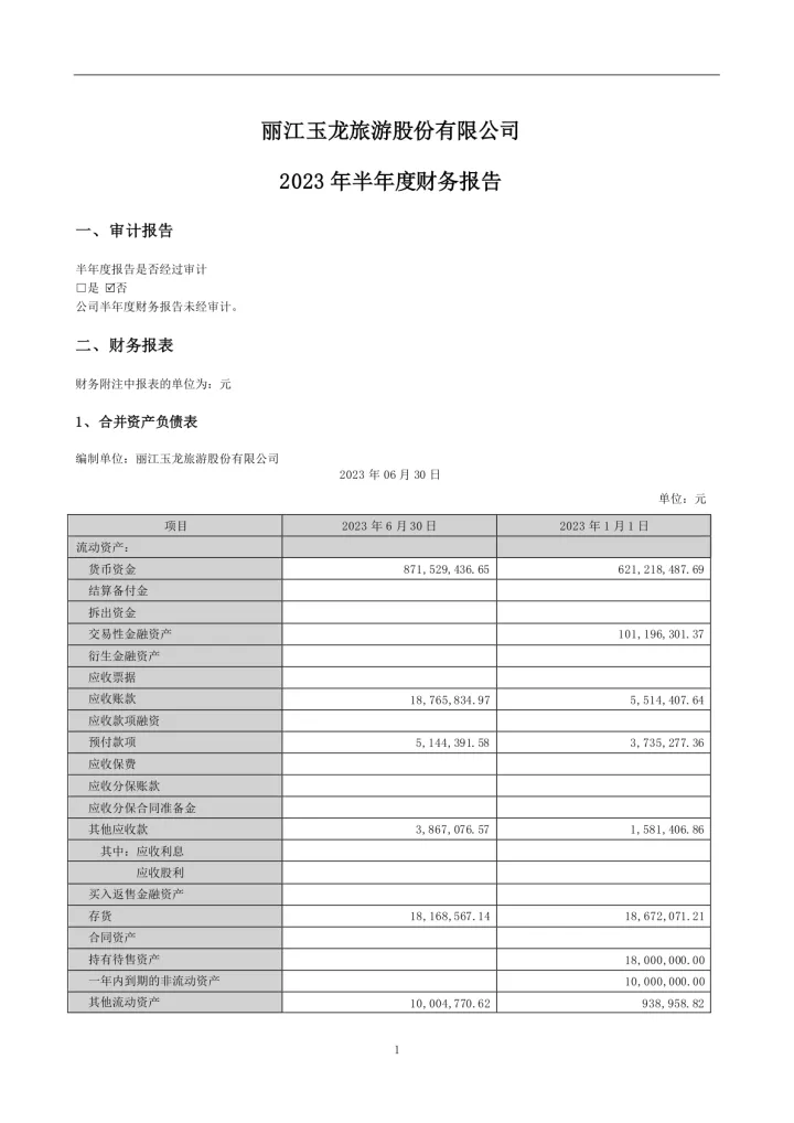 丽江股份：2023年半年度财务