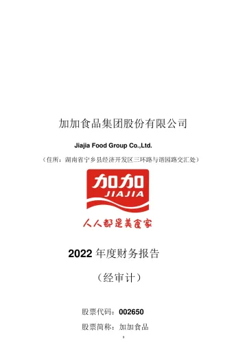 加加食品：2022年年度财务