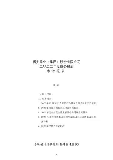 福安药业：2022年年度审计