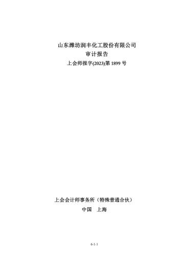 润丰股份：山东潍坊润丰化工股份有限公司最近一年的财务