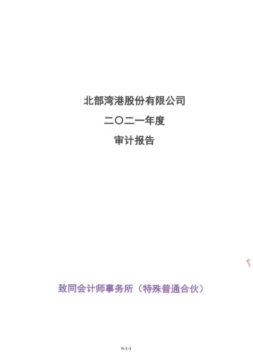 北部湾港：北部湾港股份有限公司最近一年的财务