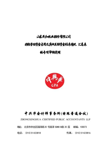 民和股份：年度关联方资金占用专项审计