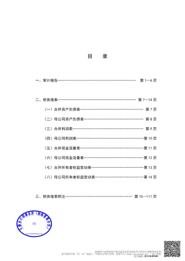 亚光科技：亚光科技集团股份有限公司审计