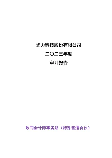 光力科技：2023年年度审计
