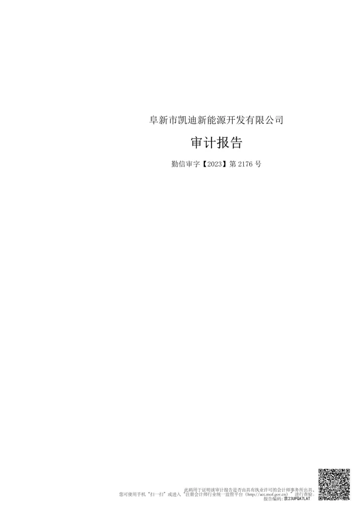 万润科技：阜新凯迪审计