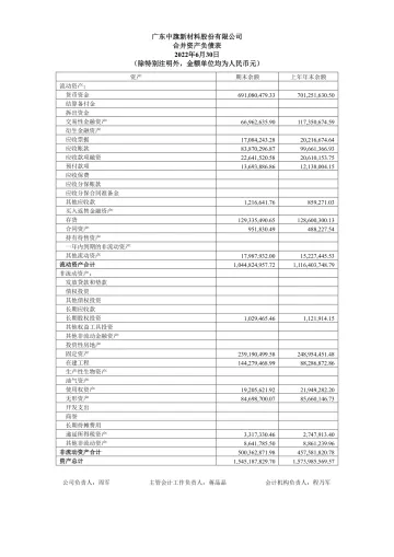 中旗新材：2022年半年度财务