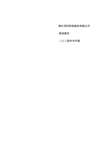 炜冈科技：2024年半年度财务