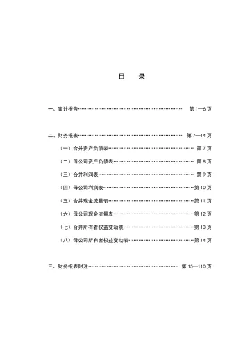 新 和 成：2022年年度审计