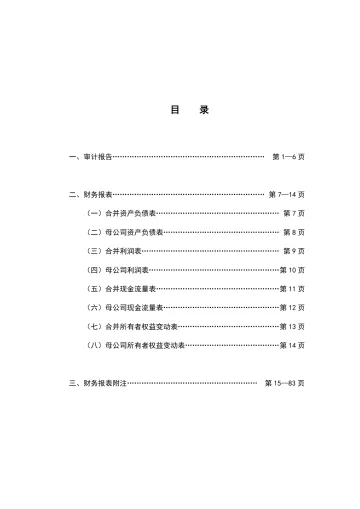 国泰环保：2023年年度审计