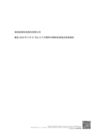 致欧科技：公司财务报表及审阅