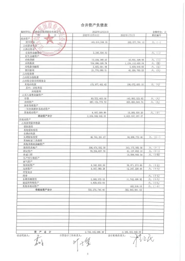 ST奇信：2022年年度财务
