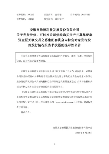 富乐德:安徽富乐德科技发展股份有限公司关于发行股份、可转换公司债券购买资产并募集配套资金暨关联交易之募集配套资金向特定对象发行股份发行情况