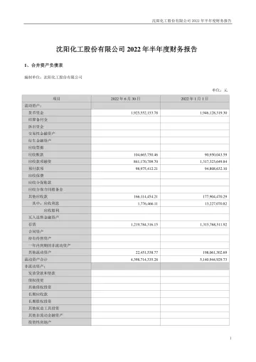 沈阳化工：2022年半年度财务