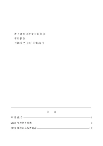 唐人神：2023年年度审计