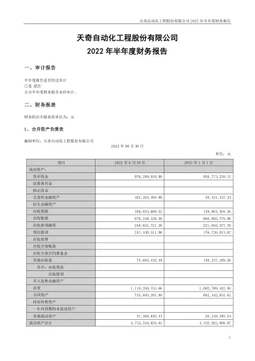 天奇股份：2022年半年度财务