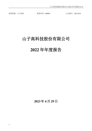 山子股份：2022年年度