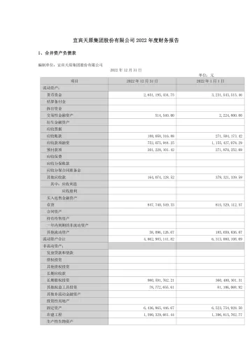 天原股份：2022年年度财务