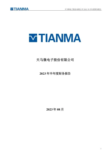深天马Ａ：2023年半年度财务