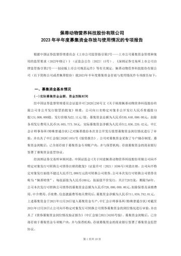 佩蒂股份：2023年半年度募集资金存放与使用情况的专项