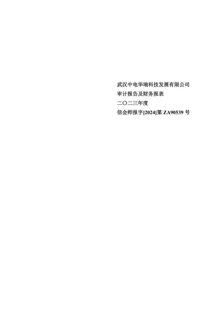 王子新材：武汉中电华瑞科技发展有限公司2023年度审计