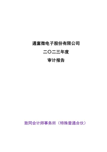 通富微电：2023年年度审计