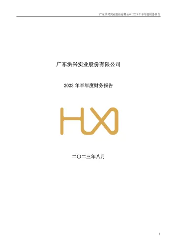 洪兴股份：2023年半年度财务