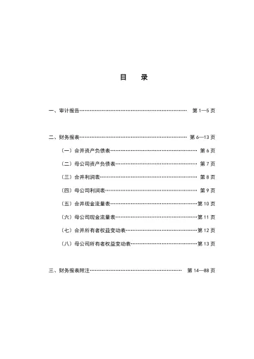 爱朋医疗：2022年年度审计
