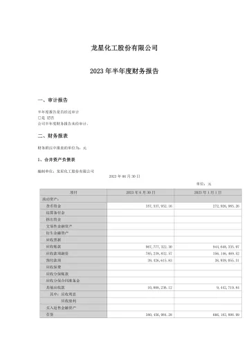龙星化工：2023年半年度财务