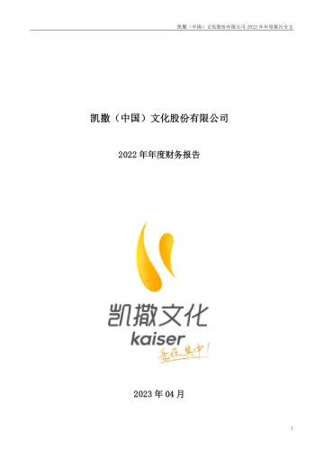 凯撒文化：2022年年度财务