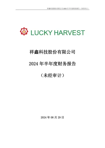 祥鑫科技：2024年半年度财务
