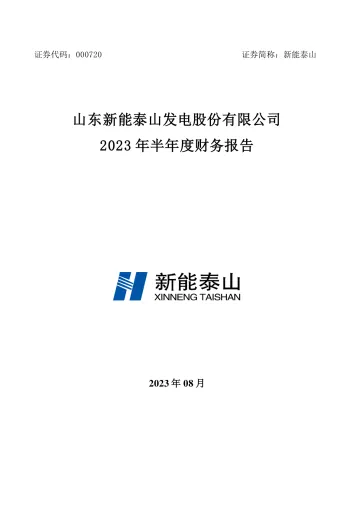 新能泰山：2023年半年度财务
