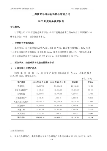 上海新阳：2023年度财务决算