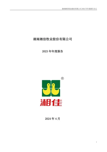 湘佳股份：2023年年度