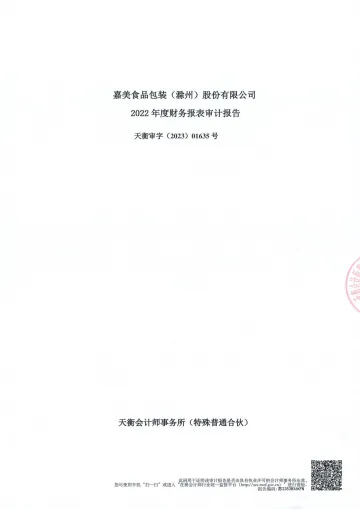 嘉美包装：2022年年度审计