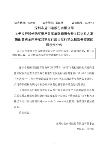 盐 田 港:关于发行股份购买资产并募集配套资金暨关联交易之募集配套资金向特定对象发行股份发行情况