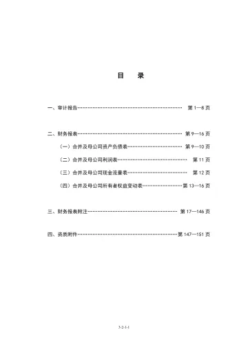 川宁生物：财务报表及审计