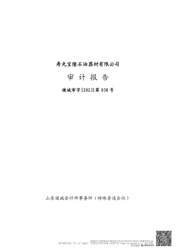 山东墨龙：寿光宝隆石油器材有限公司审计
